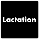 lactation